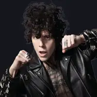 LP artist image