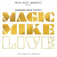 Magic Mike Live artist image