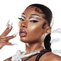 Megan Thee Stallion artist image
