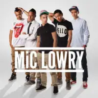 MiC Lowry artist image