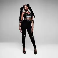 Moko artist image
