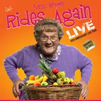 Mrs Browns Boys artist image