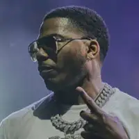 Nelly artist image