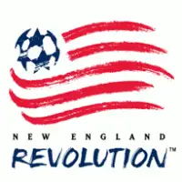 New England Revolution artist image
