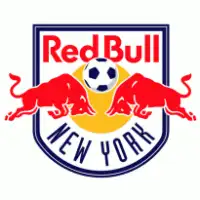 New York Red Bulls artist image