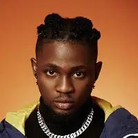 Omah Lay artist image