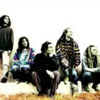 Ozric Tentacles artist image