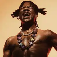 Rema artist image