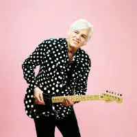 Robyn Hitchcock artist image