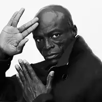 Seal artist image