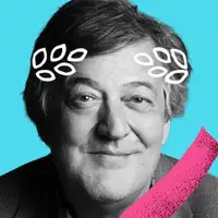 Stephen Fry artist image