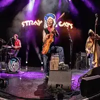 Stray Cats artist image