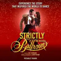 Strictly Ballroom artist image
