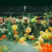 Super Furry Animals artist image