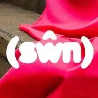 Swn artist image