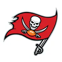 Tampa Bay Buccaneers artist image