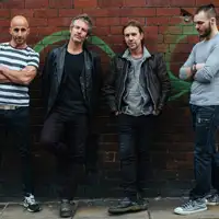 Terrorvision artist image