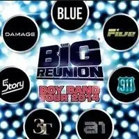 The Big Reunion artist image