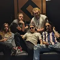 The Black Vipers artist image