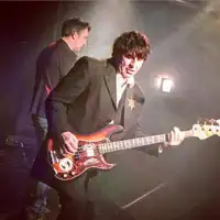 The Chameleons artist image