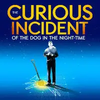 The Curious Incident of the Dog In The Night Time theatre image