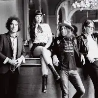 The Dandy Warhols artist image