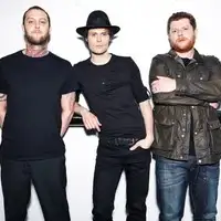 The Fratellis artist image