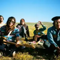 The Growlers artist image