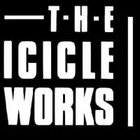 The Icicle Works artist image