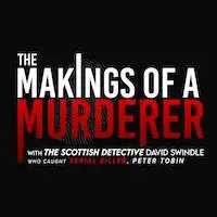 The Makings Of A Murderer artist image