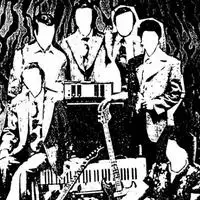 The Reflektors artist image