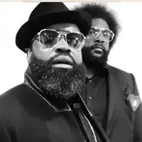 The Roots artist image