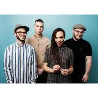 The Skints artist image