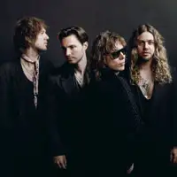 The Struts artist image
