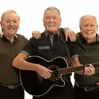 The Wolfe Tones artist image