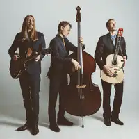 The Wood Brothers artist image