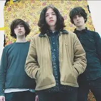 The Wytches artist image