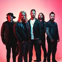 Those Damn Crows artist image