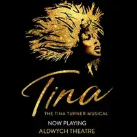 TINA The Tina Turner Musical artist image