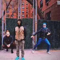 Too Many Zooz artist image