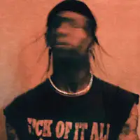 Travis Scott artist image