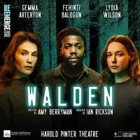 Walden artist image