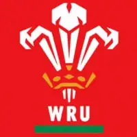 Wales Rugby artist image