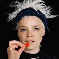 Wallis Bird artist image