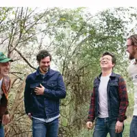 White Denim artist image