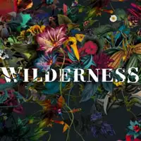 Wilderness Festival artist image