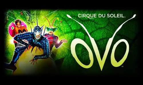 Cirque Du Soleil OVO