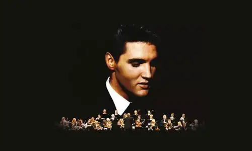 Elvis In Concert