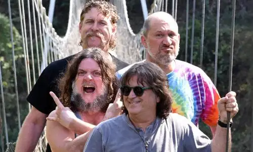 Hayseed Dixie