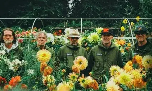 Super Furry Animals